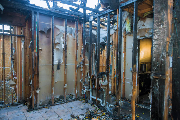 Professional Fire Damage Repair technician working in Fruitvale, CO